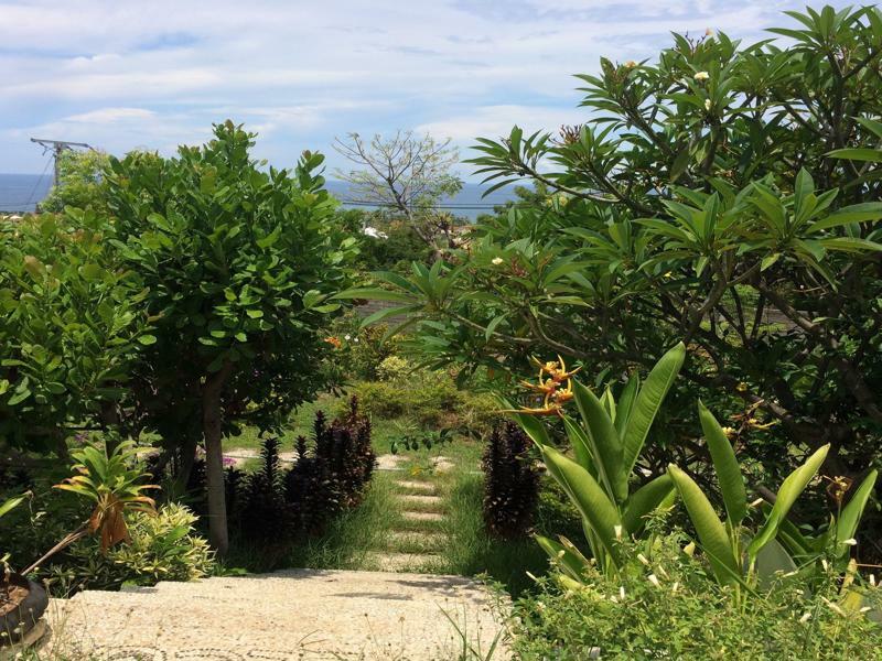 Bali Natur Lovina Eksteriør billede