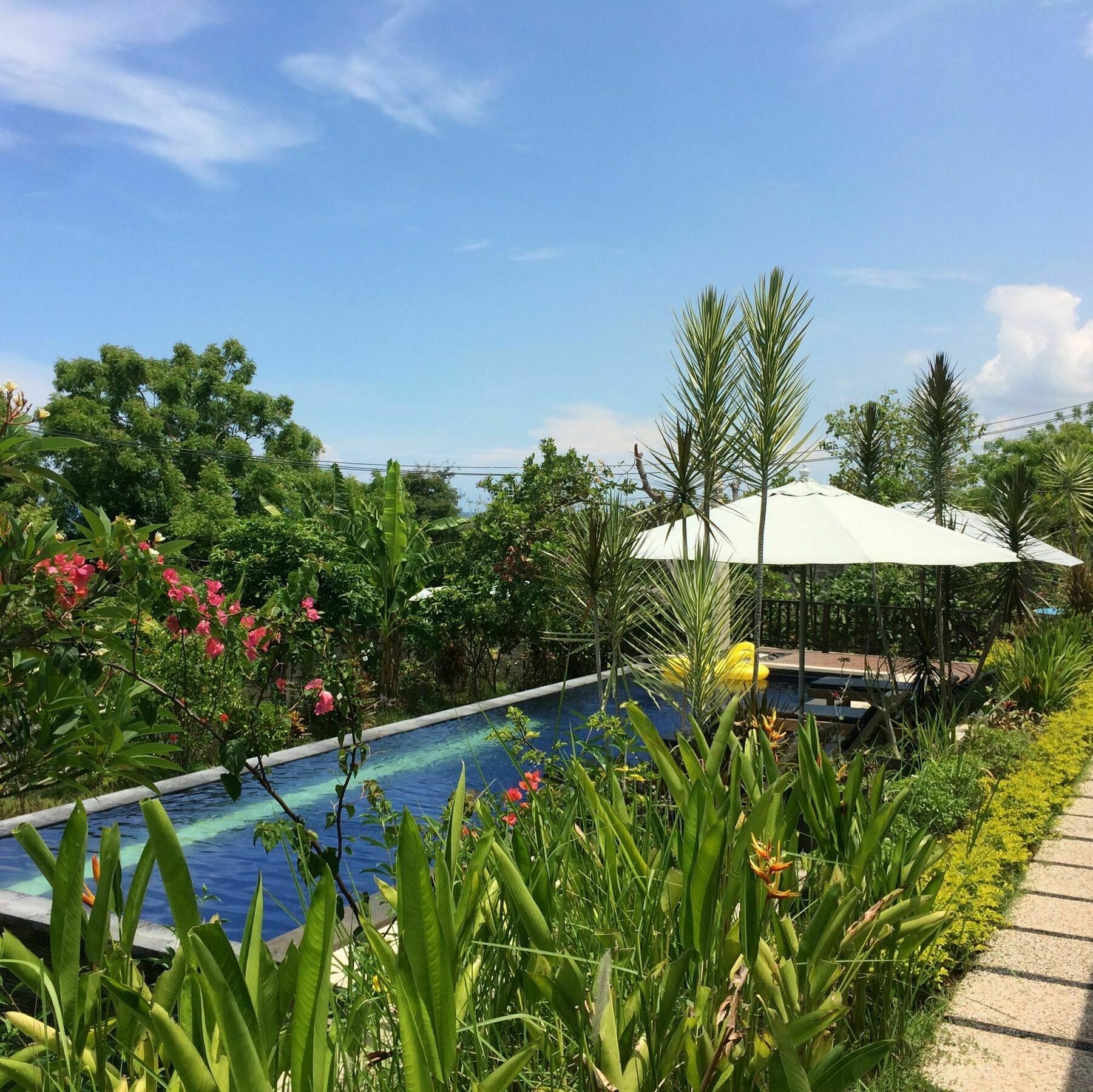 Bali Natur Lovina Eksteriør billede