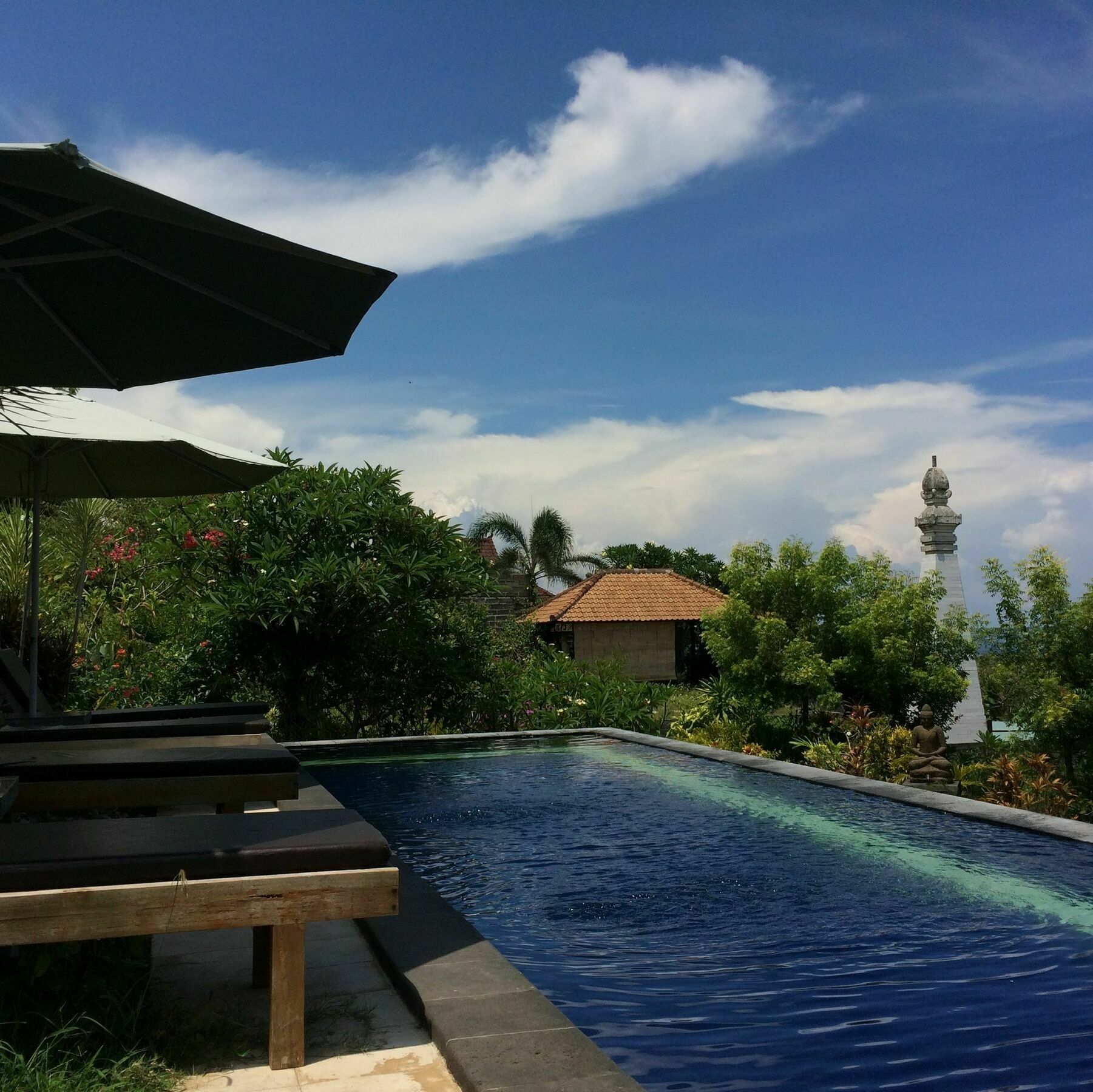 Bali Natur Lovina Eksteriør billede